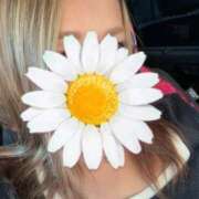 ヒメ日記 2025/02/20 11:05 投稿 神崎 りさ こあくまな熟女たち三河店（KOAKUMAグループ）