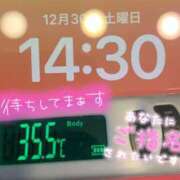 ヒメ日記 2023/12/30 14:41 投稿 ひろみ ぽっちゃり巨乳素人専門店渋谷ちゃんこ