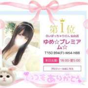 ヒメ日記 2025/04/01 16:48 投稿 ゆめ☆プレミアム☆ 白いぽっちゃりさん仙台店