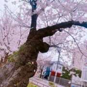 ヒメ日記 2025/04/10 08:38 投稿 ゆめ☆プレミアム☆ 白いぽっちゃりさん仙台店