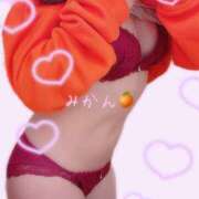 ヒメ日記 2024/12/23 10:34 投稿 みかん 世界のあんぷり亭 新橋店