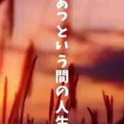 ヒメ日記 2025/01/01 03:58 投稿 こい 熟女家 堺東店