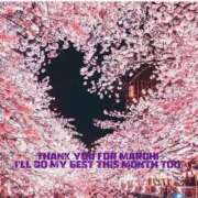 ヒメ日記 2025/04/01 16:28 投稿 こい 熟女家 堺東店