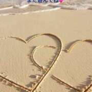 ヒメ日記 2025/05/06 11:31 投稿 こい 熟女家 堺東店