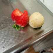 ヒメ日記 2026/02/17 18:27 投稿 こい 熟女家 堺東店