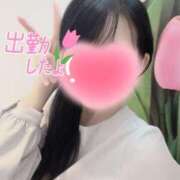 ヒメ日記 2025/03/29 10:48 投稿 あいか 奥様メモリアル