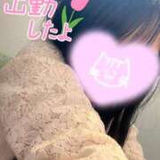 ヒメ日記 2025/04/17 11:33 投稿 あいか 奥様メモリアル