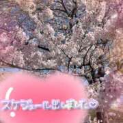 ヒメ日記 2025/04/19 12:03 投稿 あいか 奥様メモリアル