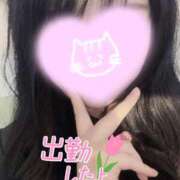 ヒメ日記 2025/04/22 11:18 投稿 あいか 奥様メモリアル