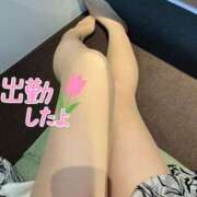 ヒメ日記 2025/05/15 11:03 投稿 あいか 奥様メモリアル