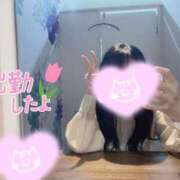 ヒメ日記 2025/05/21 11:18 投稿 あいか 奥様メモリアル