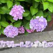 ヒメ日記 2025/07/11 14:42 投稿 あいか 奥様メモリアル