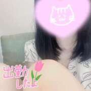 ヒメ日記 2025/08/07 11:15 投稿 あいか 奥様メモリアル