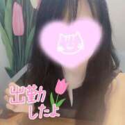 ヒメ日記 2025/08/28 11:27 投稿 あいか 奥様メモリアル