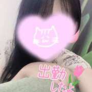 ヒメ日記 2025/09/09 11:18 投稿 あいか 奥様メモリアル