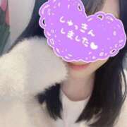 ヒメ日記 2025/10/15 11:18 投稿 あいか 奥様メモリアル