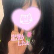 ヒメ日記 2025/11/18 11:18 投稿 あいか 奥様メモリアル