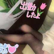 ヒメ日記 2026/01/13 11:33 投稿 あいか 奥様メモリアル