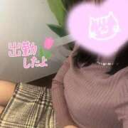 あいか 出勤しました🌼 奥様メモリアル