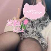 ヒメ日記 2026/02/09 11:18 投稿 あいか 奥様メモリアル