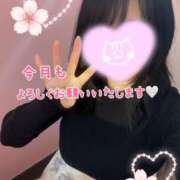 ヒメ日記 2026/04/01 11:18 投稿 あいか 奥様メモリアル