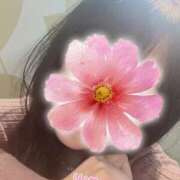 あいか 出勤しました☺️ 奥様メモリアル