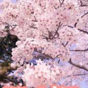 あいか 出勤予定♡ 奥様メモリアル