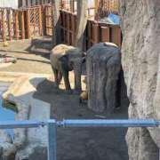 ヒメ日記 2025/06/11 19:54 投稿 ちふゆ 優しいM性感 五反田