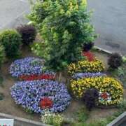 ヒメ日記 2025/10/23 21:47 投稿 山口さら 大人のエッチなエステ