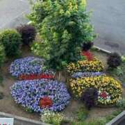 ヒメ日記 2026/03/18 09:31 投稿 山口さら 大人のエッチなエステ