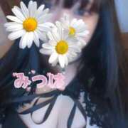 ヒメ日記 2025/02/25 02:59 投稿 みつは 多恋人 新宿店