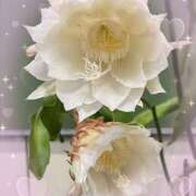 ヒメ日記 2025/10/02 12:01 投稿 はるか 性腺熟女100％（デリヘル市場）