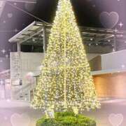 ヒメ日記 2025/11/07 13:18 投稿 はるか 性腺熟女100％（デリヘル市場）