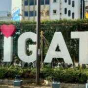 ヒメ日記 2024/12/13 12:02 投稿 夏目みな 五十路マダム 新潟店(カサブランカグループ)