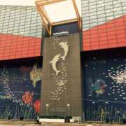 ヒメ日記 2024/12/14 09:04 投稿 夏目みな 五十路マダム 新潟店(カサブランカグループ)