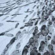 ヒメ日記 2024/12/29 10:22 投稿 夏目みな 五十路マダム 新潟店(カサブランカグループ)