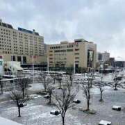 ヒメ日記 2025/01/08 12:22 投稿 夏目みな 五十路マダム 新潟店(カサブランカグループ)