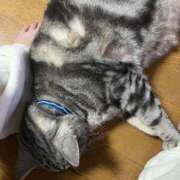 ヒメ日記 2025/03/26 19:50 投稿 夏目みな 五十路マダム 新潟店(カサブランカグループ)