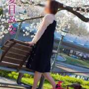 ヒメ日記 2025/04/05 19:56 投稿 夏目みな 五十路マダム 新潟店(カサブランカグループ)