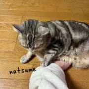 ヒメ日記 2025/04/06 10:50 投稿 夏目みな 五十路マダム 新潟店(カサブランカグループ)