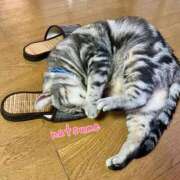 ヒメ日記 2025/04/07 10:52 投稿 夏目みな 五十路マダム 新潟店(カサブランカグループ)