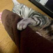 ヒメ日記 2025/04/08 10:26 投稿 夏目みな 五十路マダム 新潟店(カサブランカグループ)