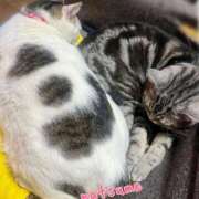 ヒメ日記 2025/04/10 11:50 投稿 夏目みな 五十路マダム 新潟店(カサブランカグループ)