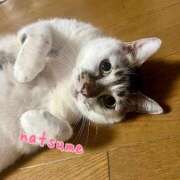 ヒメ日記 2025/04/19 08:04 投稿 夏目みな 五十路マダム 新潟店(カサブランカグループ)