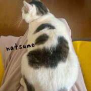 ヒメ日記 2025/04/20 20:46 投稿 夏目みな 五十路マダム 新潟店(カサブランカグループ)