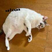 ヒメ日記 2025/05/02 09:48 投稿 夏目みな 五十路マダム 新潟店(カサブランカグループ)