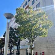 ヒメ日記 2025/05/13 12:22 投稿 夏目みな 五十路マダム 新潟店(カサブランカグループ)