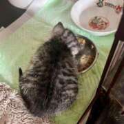 ヒメ日記 2025/06/24 15:32 投稿 夏目みな 五十路マダム 新潟店(カサブランカグループ)