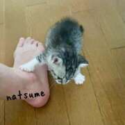 ヒメ日記 2025/06/25 13:16 投稿 夏目みな 五十路マダム 新潟店(カサブランカグループ)