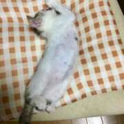 ヒメ日記 2025/07/01 17:50 投稿 夏目みな 五十路マダム 新潟店(カサブランカグループ)